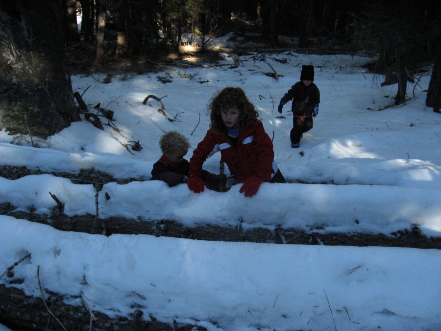 img_2525.jpg
