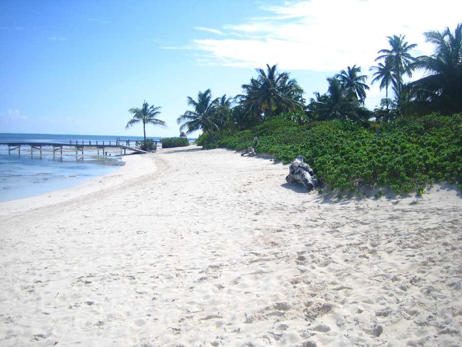 IMG_1569.jpg
