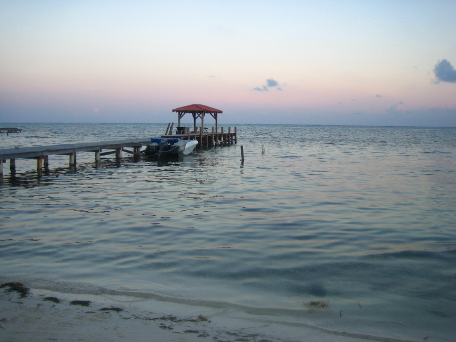 IMG_1650.jpg
