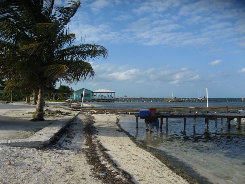 IMG_3571.jpg