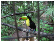 IMG_3826.JPG