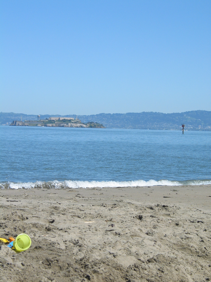 IMG_7987.jpg