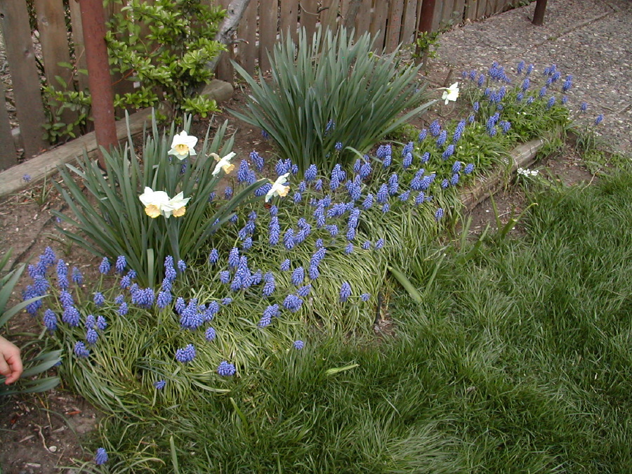 dscn0469.jpg