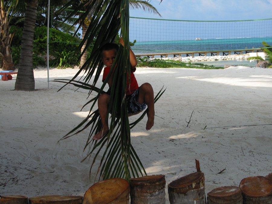 IMG_4771.jpg