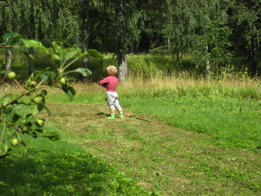 IMG_6017.jpg