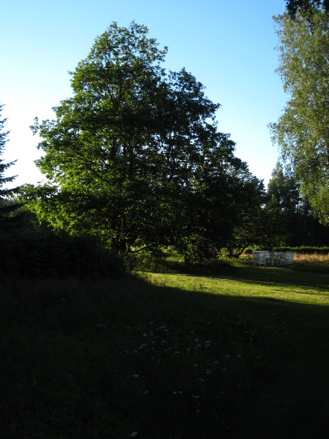 IMG_6061.jpg