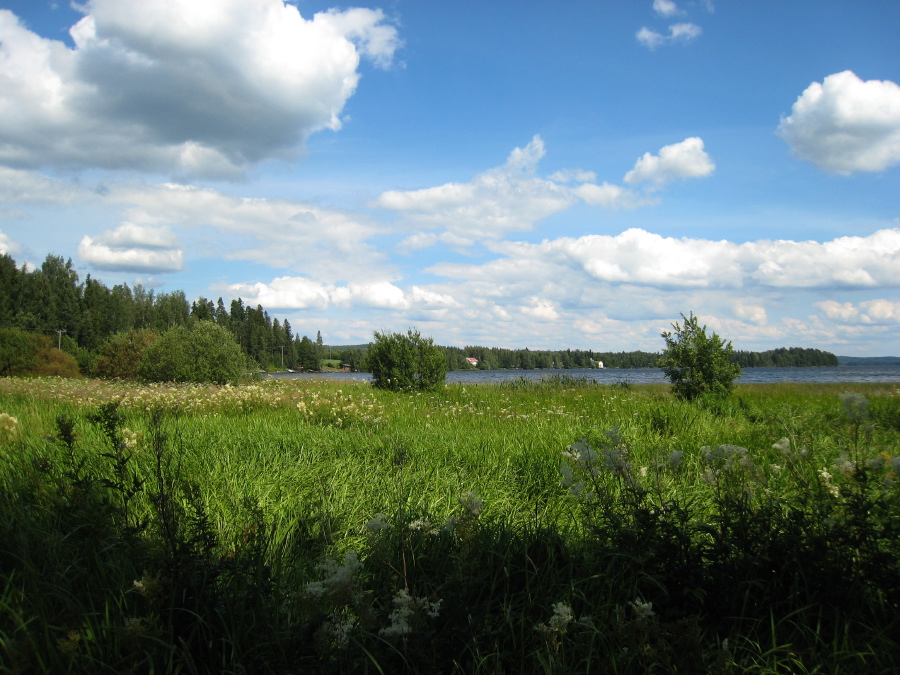 IMG_6428.jpg