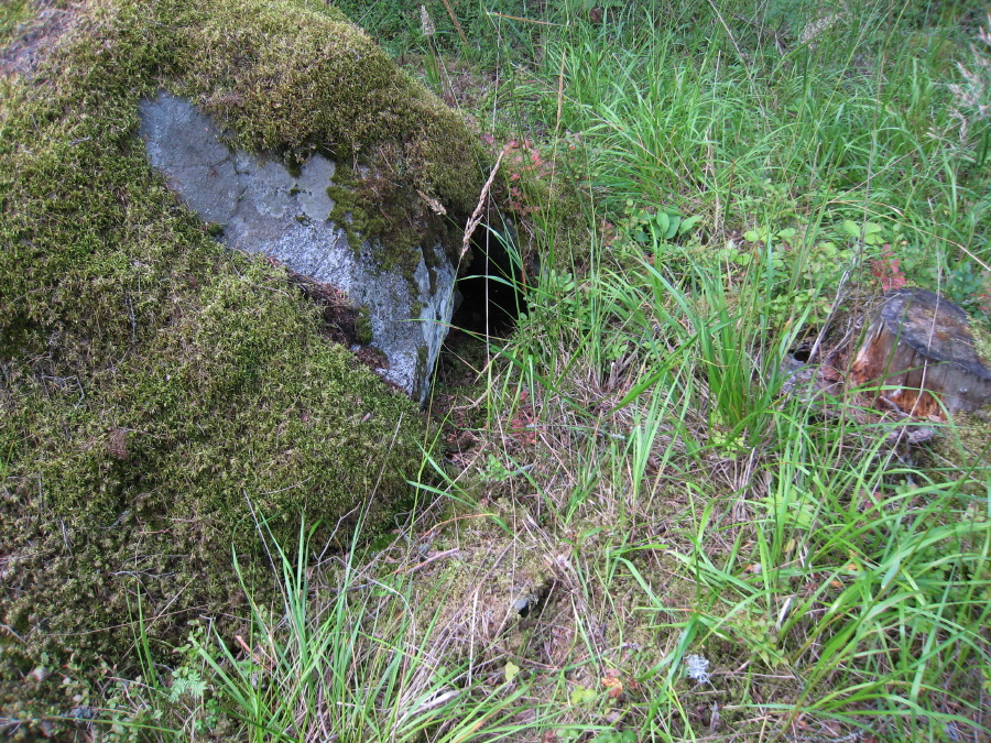 IMG_6389.JPG