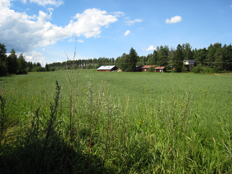 IMG_6440.JPG