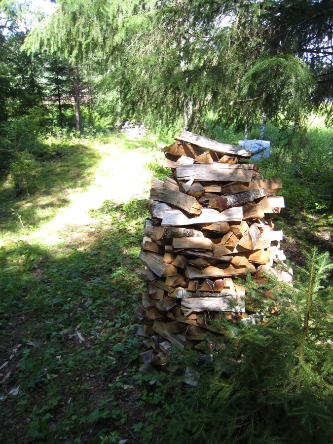 IMG_6447.JPG