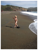 IMG_2799.jpg