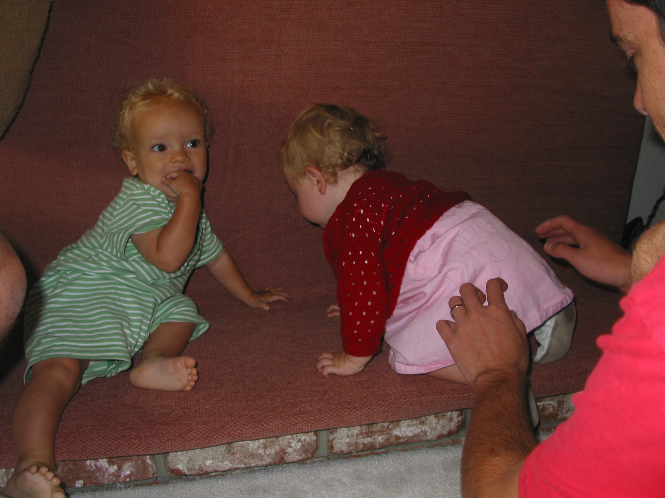 img_2582.jpg