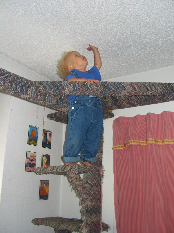 img_3110.jpg